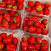 This is when strawberries are in season in the UK