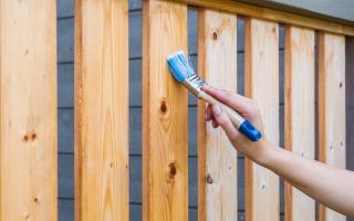 Can my neighbour paint my fence? The important rules to know
