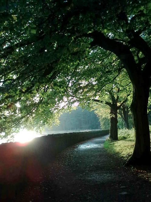 This photograph was taken by reader Marie Boardman, of Thornham Drive, Sharples, showing sunlight and shadows on the footpath at Entwistle Reservoir.