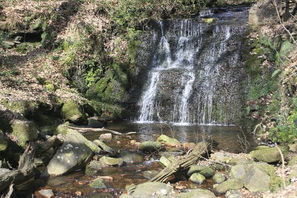 This picture shows the waterfall at Tigers Clough, at Rivington. It was taken by reader Phil Varley. 
The site is one of the attractions in the area and is popular with  many visitors, from families to walkers.