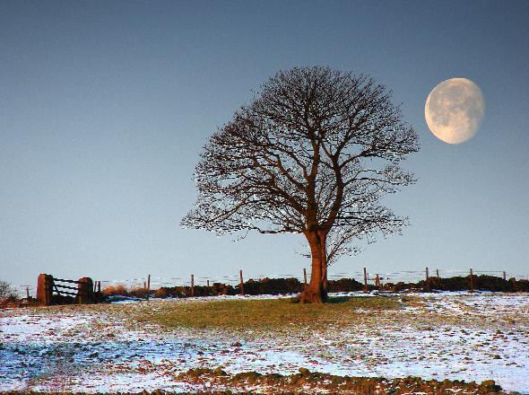 A WINTER moon viewed from Horwich moorland, off Walker Fold Road, just as the sun came up.
The picture was taken  by David Wright, of Heaton, Bolton.

