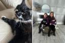 Arissa and  Alana Martin with their cats