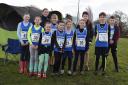 TEAM EFFORT: The young Harriers who competed in Chorley