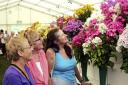 125th Shrewsbury Flower Show