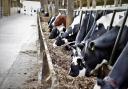 Smithills Open Farm wants to build a new milk parlour