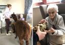Nursery children pay visit to care home for a special reason