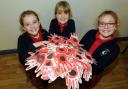 Pupils Mia Kelly, Cerys Hickey and Shannon Kelly with a hand of poppies