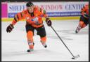COMING HOME: Local boy Mark Thomas in action for Sheffield Steelers.