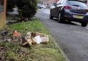 PROBLEM: Litter and fly-tipping in Bolton is becoming an increasing problem