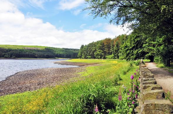 WE may be in a drought and the water levels of local reservoirs are low, but the receding water line at Entwistle reservoir does not detract from the natural beauty of its surroundings.  
The picture was taken by Pete Harrison, of Kearsley.