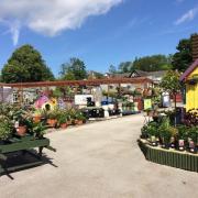 Heaton Fold Garden Centre