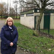 Town mayor councillor Deirdre McGeown pictured in Central Park where a fun day will take place