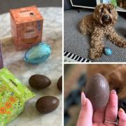 Looking for dog-friendly Easter eggs? These treats from Pets at Home could be the one