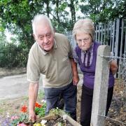 Memorial flowers stolen exactly 100 years after start of World War One