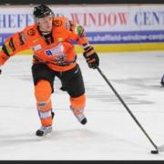 COMING HOME: Local boy Mark Thomas in action for Sheffield Steelers.