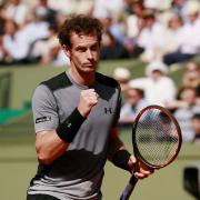 GRAND SLAM CHANCE: Andy Murray celebrates during his win against David Ferrer in the French Open quarter-finals