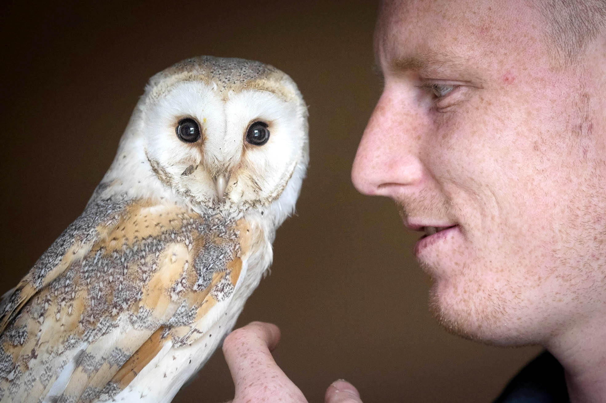 Andrew Ridyard with his pet owl - 3070099