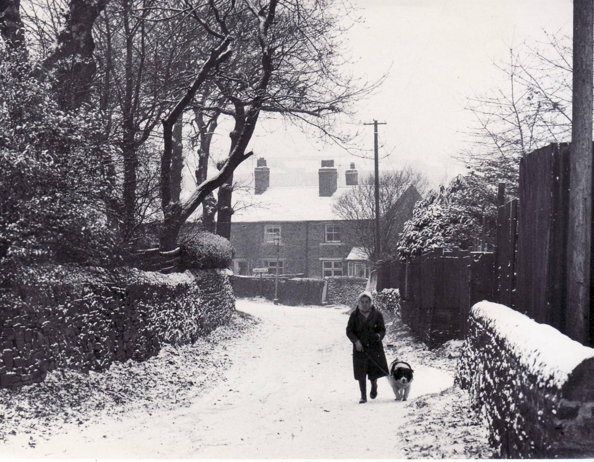 January 1968 - Lower Pools, Heaton