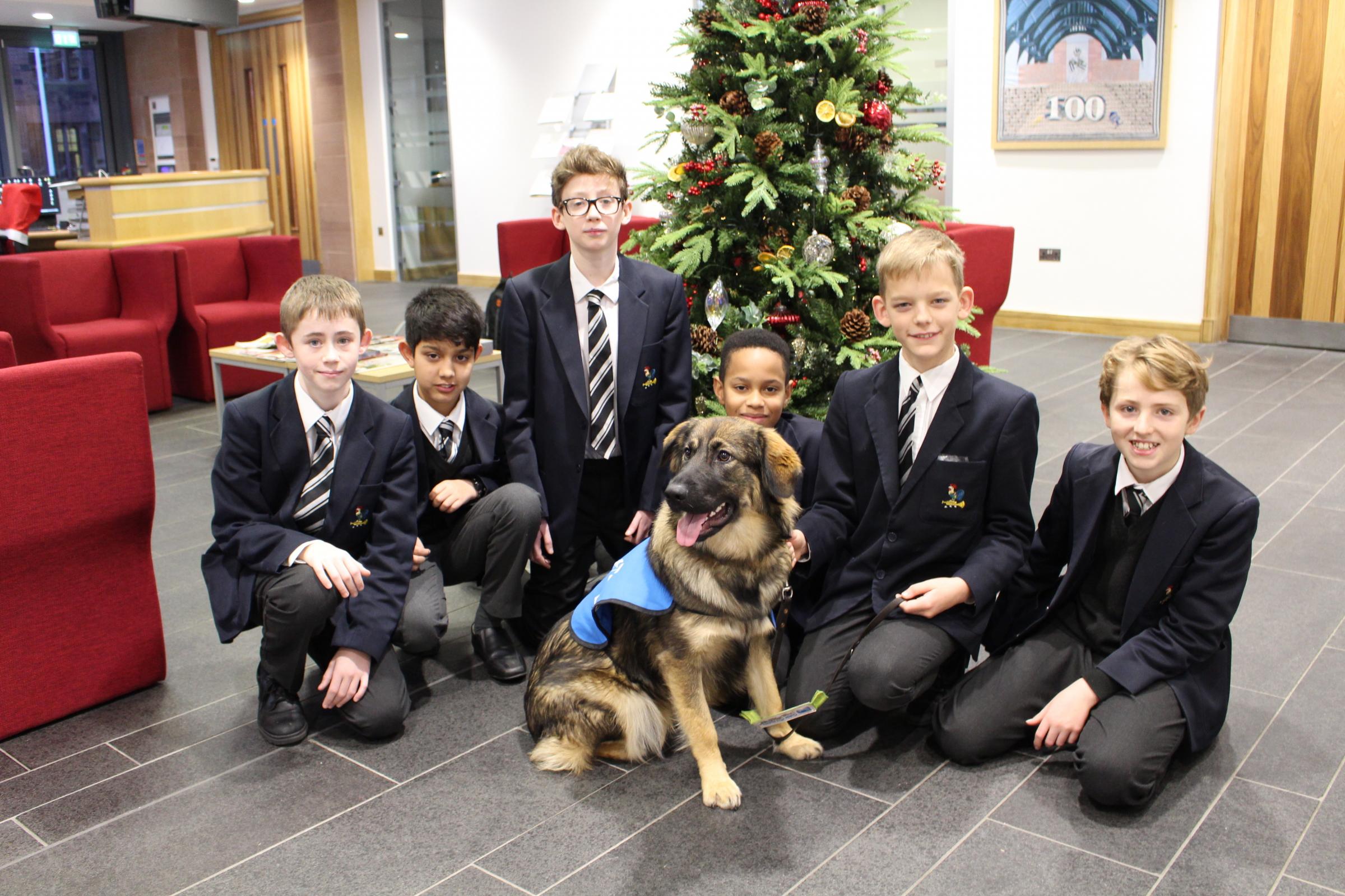 pupils make a new best friend - The Bolton News