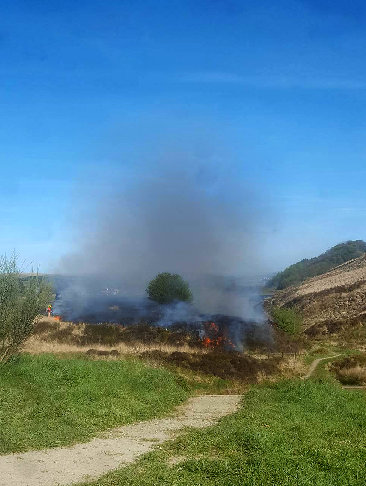 'Suspicious' - Arson fears after crews battle THREE grassland fires in 1 night