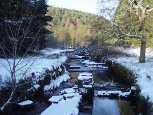 Cadshaw Brook on its way to Entwistle Reservoir.