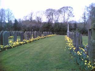 Heaton cemetery with the daffodils in bloom. Taken by Tony Boddy.