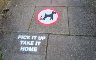 Stencils have been placed in Prestolee warning dog owners to pick up after their pooch