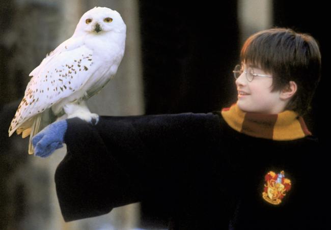 Rare Harry Potter Book To Fetch 30000 After Being Kept For - 