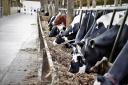 Smithills Open Farm wants to build a new milk parlour