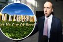 Matt Hancock to hunt through offal-filled trough in latest I’m A Celebrity trial