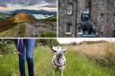 Top 5 dog friendly getaways in the UK
