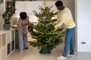 Rotating your tree every few days is just one of the ways to make it last longer