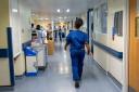 A general view of staff on a NHS hospital ward Image: PA