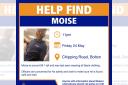 Can you help police find Moise?