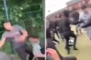 Footage shows there were numerous fights