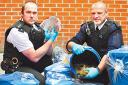DRUGS HAUL: Police officers Insp Mark Peary, left, and PC Nick Bigner, with the buckets of cannabis and cash