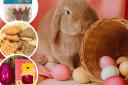 Pet-friendly Easter treats. Pictures: Canva/Pets at Home