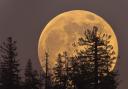 When 13 full moons, including two supermoons and a blue moon, will be shining in 2020