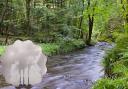 The Office for National Statistics has revealed the levels of CO2 and percentage of woodland in Greater Manchester (John Millar/National Trust/PA/Canva)