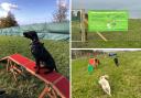 Pet Fields Bolton recently opened