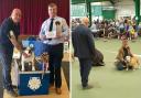 Martin Jones has achieved breed specialist rank for bulldog judging