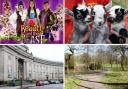 Easter events taking place over the bank holiday weekend
