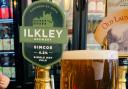 Ilkley Brewery Simcoe