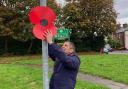 Councillor Neil Maher, a Falklands War veteran, putting up a street poppy in Westhoughton on a previous year