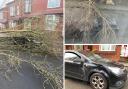 The tree fell on the man's Vauxhall Astra