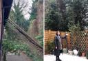 Residents are concerned after a tree fell onto a house last month