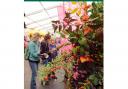Win a pair of tickets to the Harrogate Autumn Flower Show!