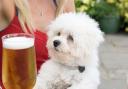 Bolton has lots of dog-friendly pubs - here are five you can visit