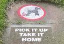 Stencils put up to remind dog owners to pick up dog fouling