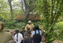 Washacre's forest school is coming on leaps and bounds